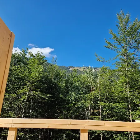 Airwood Glamping Krize